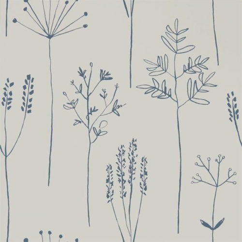 Stipa 112019